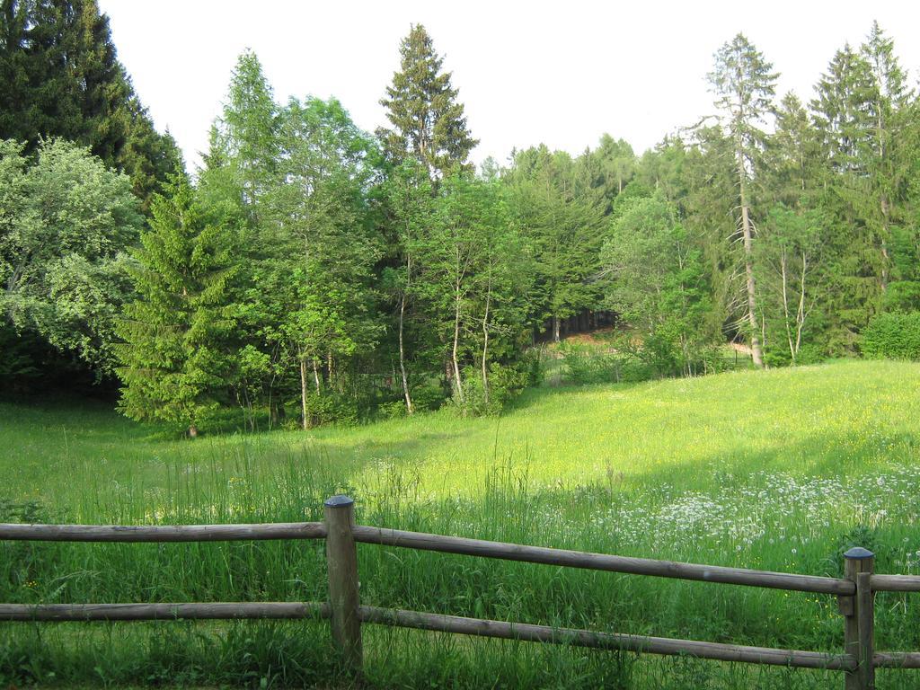 Chalet La Montagnola Villa Borgo Valsugana Екстериор снимка